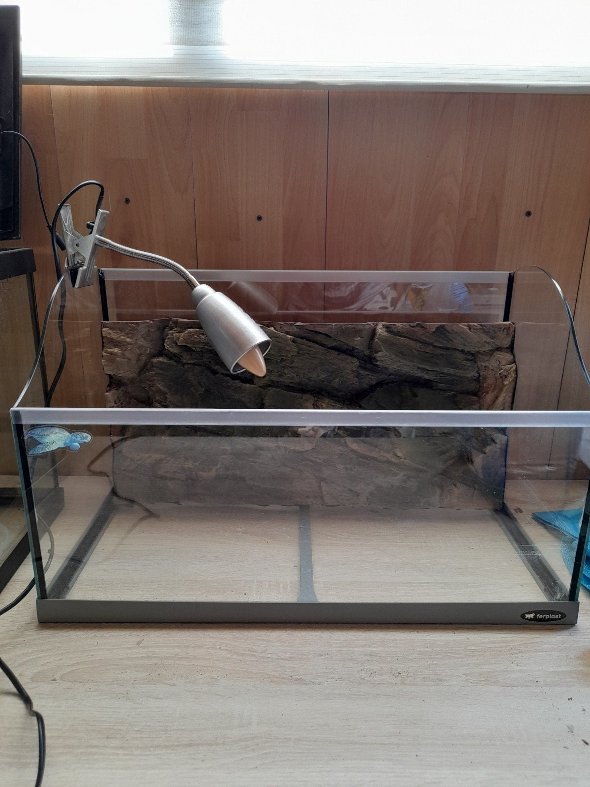Aquarium, Dieren en Toebehoren, Ophalen of Verzenden, Leeg aquarium