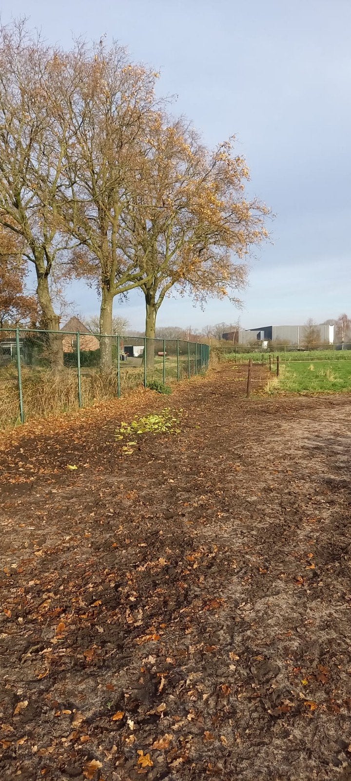 dhs stal heeft plekje vrij, Dieren en Toebehoren, Stalling en Weidegang, Weidegang, 1 paard of pony