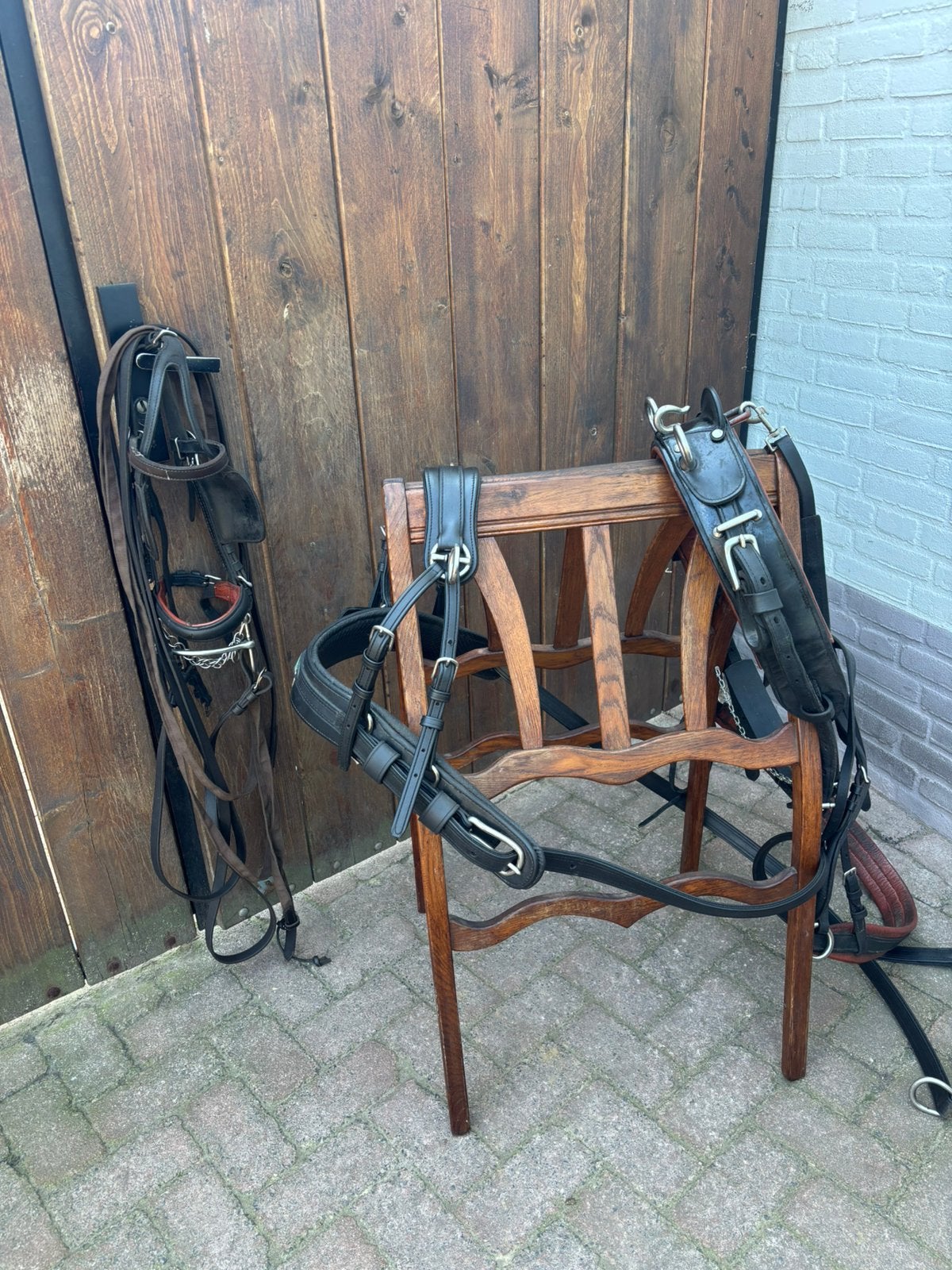 Enkelspan tuig pony, Overige disciplines, Meerkleurig, Mentuig, Zo goed als nieuw