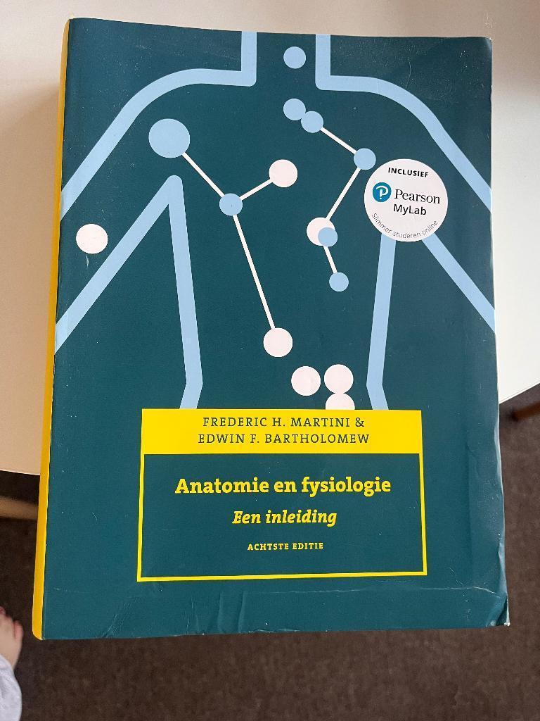 Boek Martini Anatomie en fysiologie, Boeken, Studieboeken en Cursussen, Verzenden, Beta, Gelezen, HBO