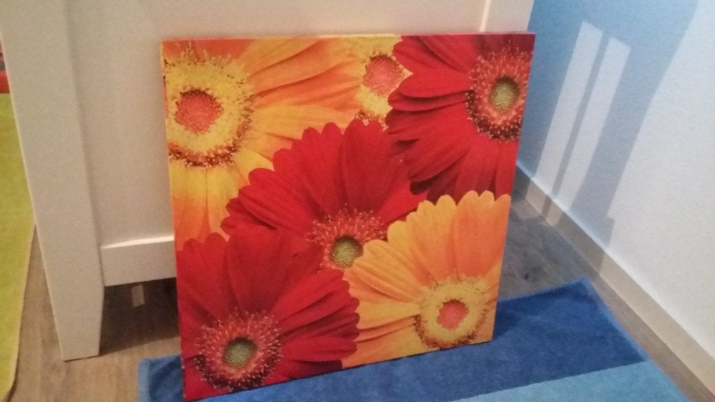 2 Canvasdoeken met Bloemen, Huis en Inrichting, Ophalen, Minder dan 50 cm, Zo goed als nieuw, Foto of Poster