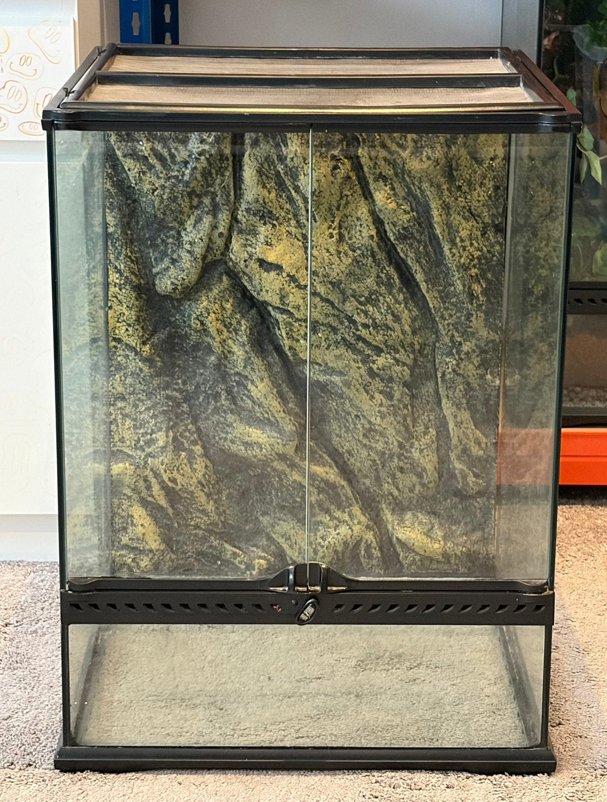 Exo-Terra terrarium 45x45x60, Dieren en Toebehoren, Ophalen, Gebruikt, Terrarium of Paludarium