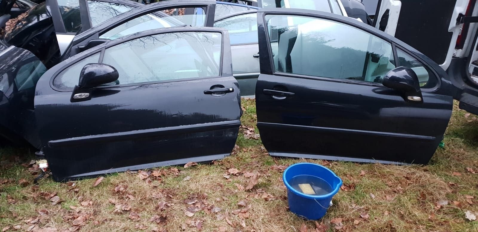 PEUGEOT 207 PORTIEREN BJ 2006 TOT 2010, Gebruikt, -, Deur, -