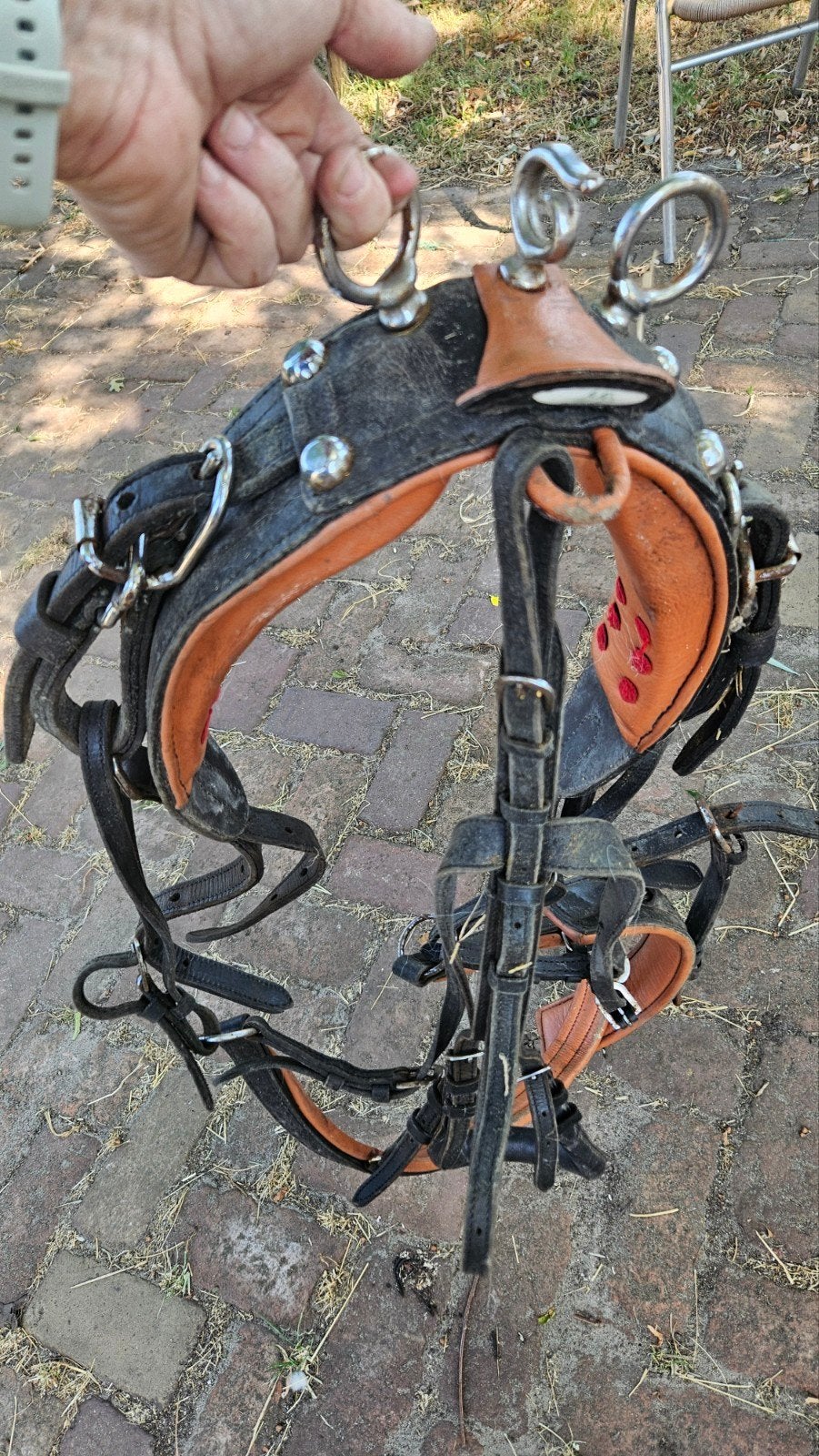 mentuig mini shetlander, Dieren en Toebehoren, Ophalen of Verzenden, Gebruikt, Recreatie