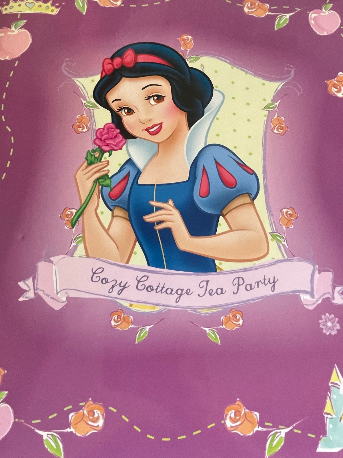 Sneeuwwitje Disney Princess Album/Boek - Ongebruikt, Ophalen of Verzenden, Nieuw, Album of Boek, Overige merken