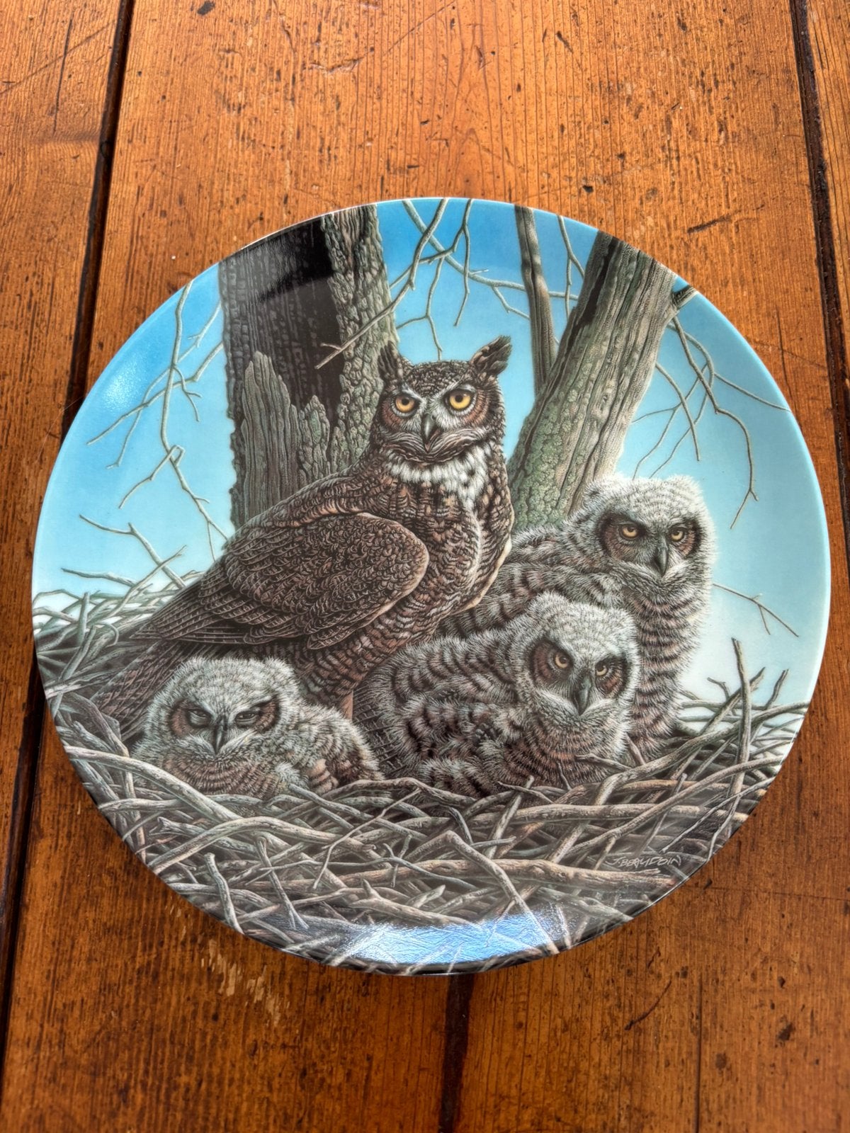 Bordje Oehoe uil vogels natuur, Ophalen of Verzenden