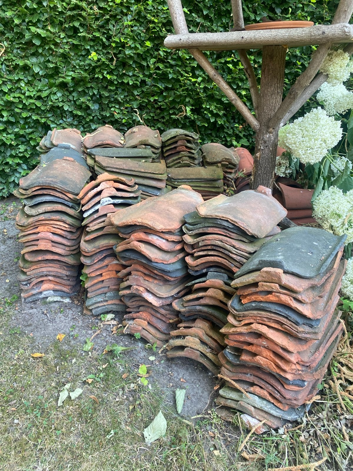 Oude Hollandse Dakpannen - ca. 300 stuks, Doe-het-zelf en Verbouw, Dakpannen en Dakbedekking, Ophalen, Gebruikt, Steen of Klei