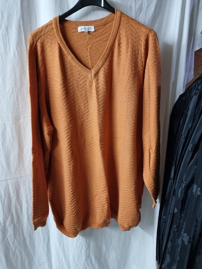 zhen zi trui maat L, Zhen zi, Verzenden, Trui of Vest, Oranje