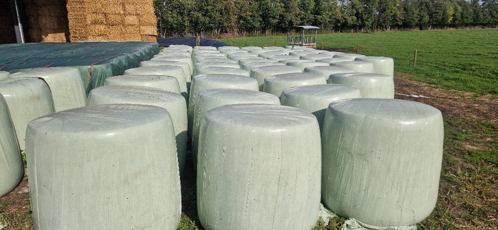 Maisbalen oogst 2025, Dieren en Toebehoren, Ophalen of Verzenden, Vee