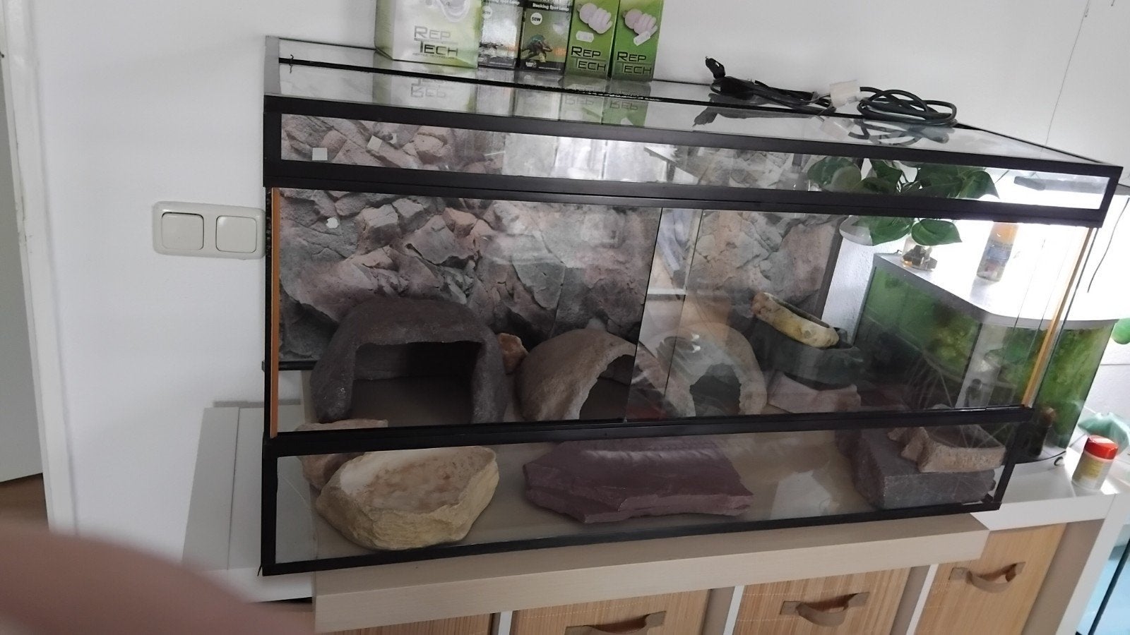 Terrarium met lampen, grotjes en bakjes, Dieren en Toebehoren, Ophalen, Gebruikt
