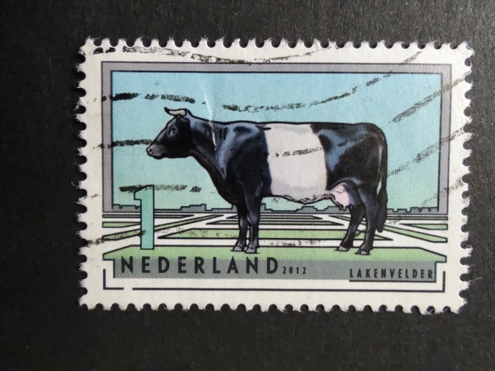 2976 lakenvelder 2022 nl rundvee rassen, Ophalen of Verzenden