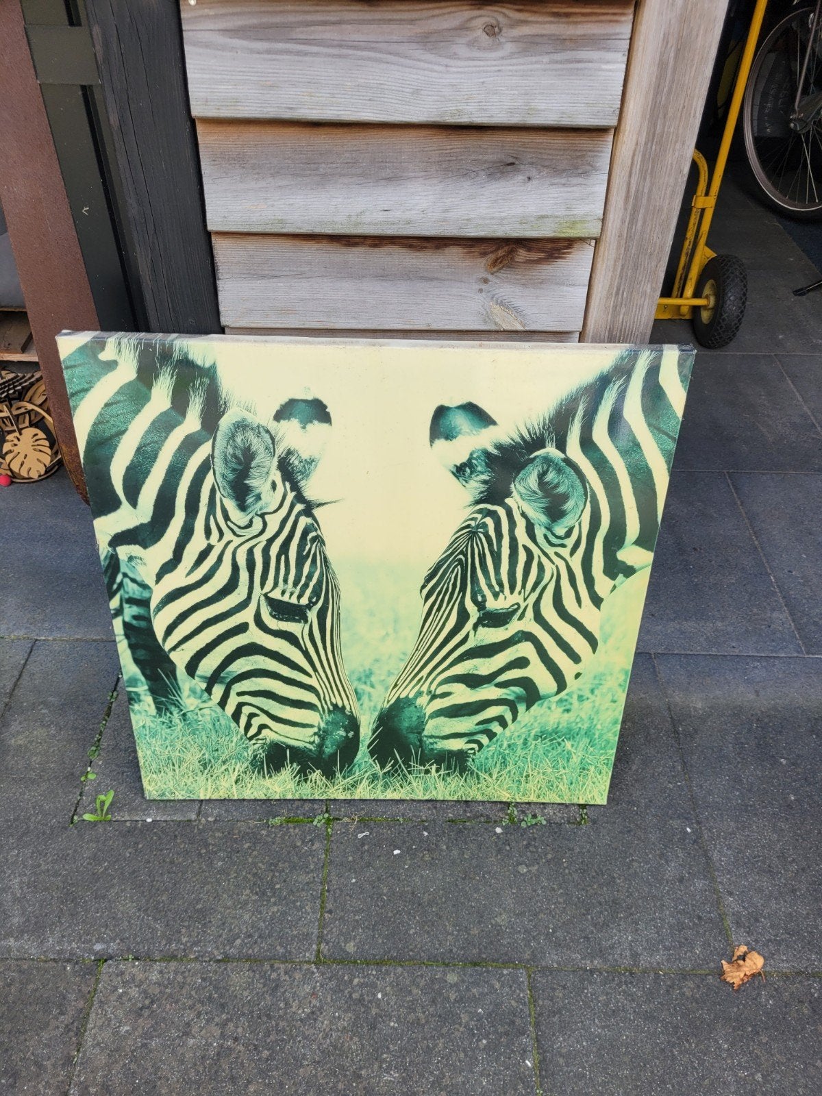 Schilderij met zebra's gratis., Huis en Inrichting, 50 – 75, Ophalen of Verzenden, Zo goed als nieuw, Schilderij
