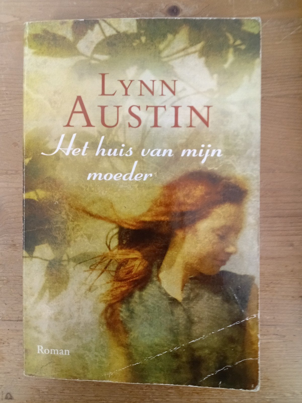 Het huis van mijn moeder - Lynn Austin, Boeken, Ophalen of Verzenden, Gelezen