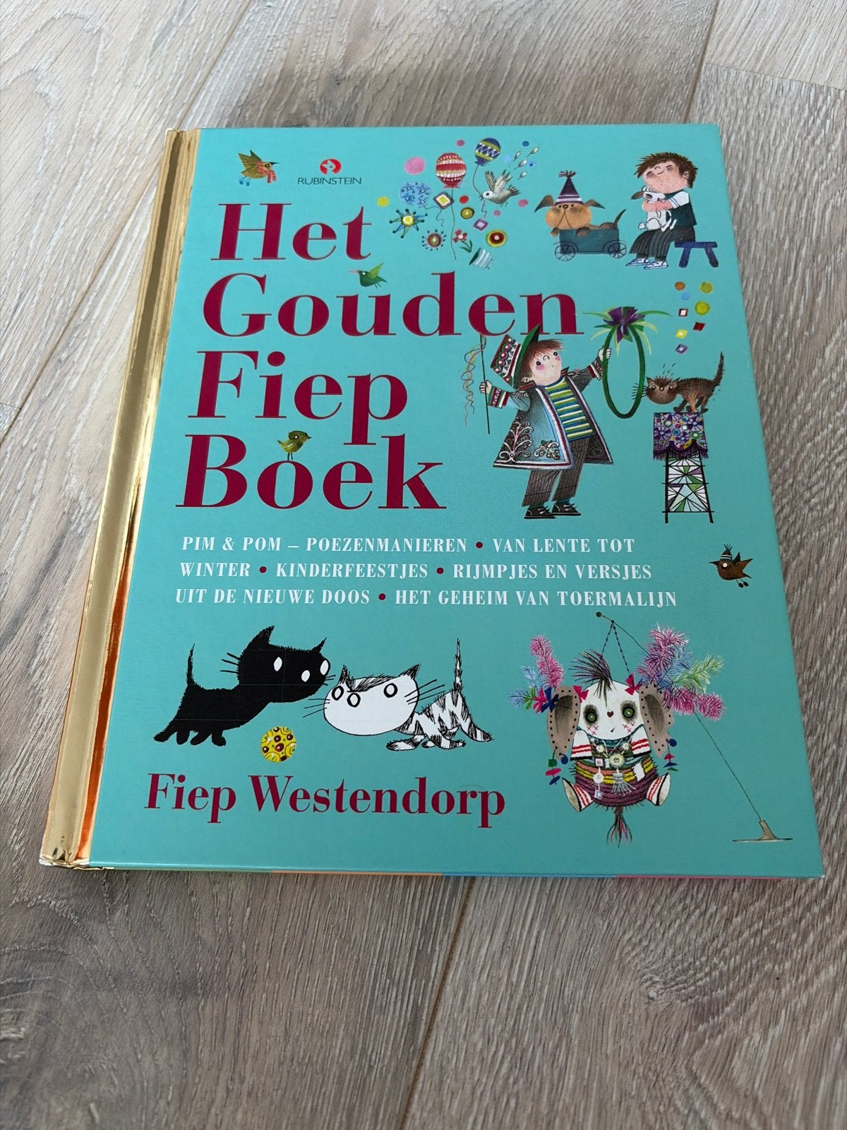 Het Gouden Fiep Boek - Fiep Westendorp, Boeken, Fictie algemeen, Jongen of Meisje, Zo goed als nieuw, 4 jaar