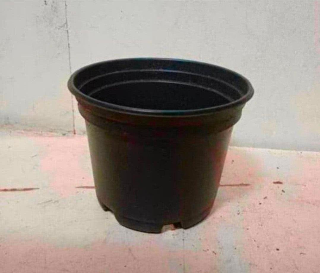 kweekpotten plantenpotten bloempotten 2 liter, Kunststof, Gebruikt, Rond, Ophalen of Verzenden