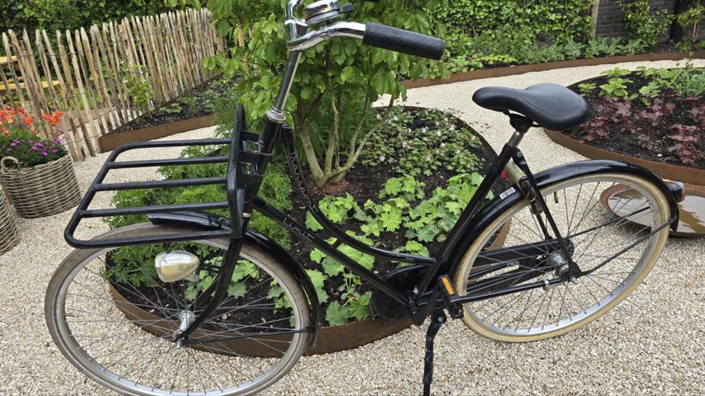 Stationsfiets damesfiets Transport Limit met AXA slot, Fietsen en Brommers, Ophalen