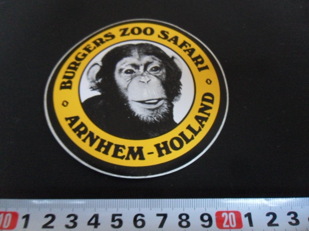 sticker Arnhem BURGERS ZOO SAFARI AAP Holland RH004, Ophalen of Verzenden, Zo goed als nieuw