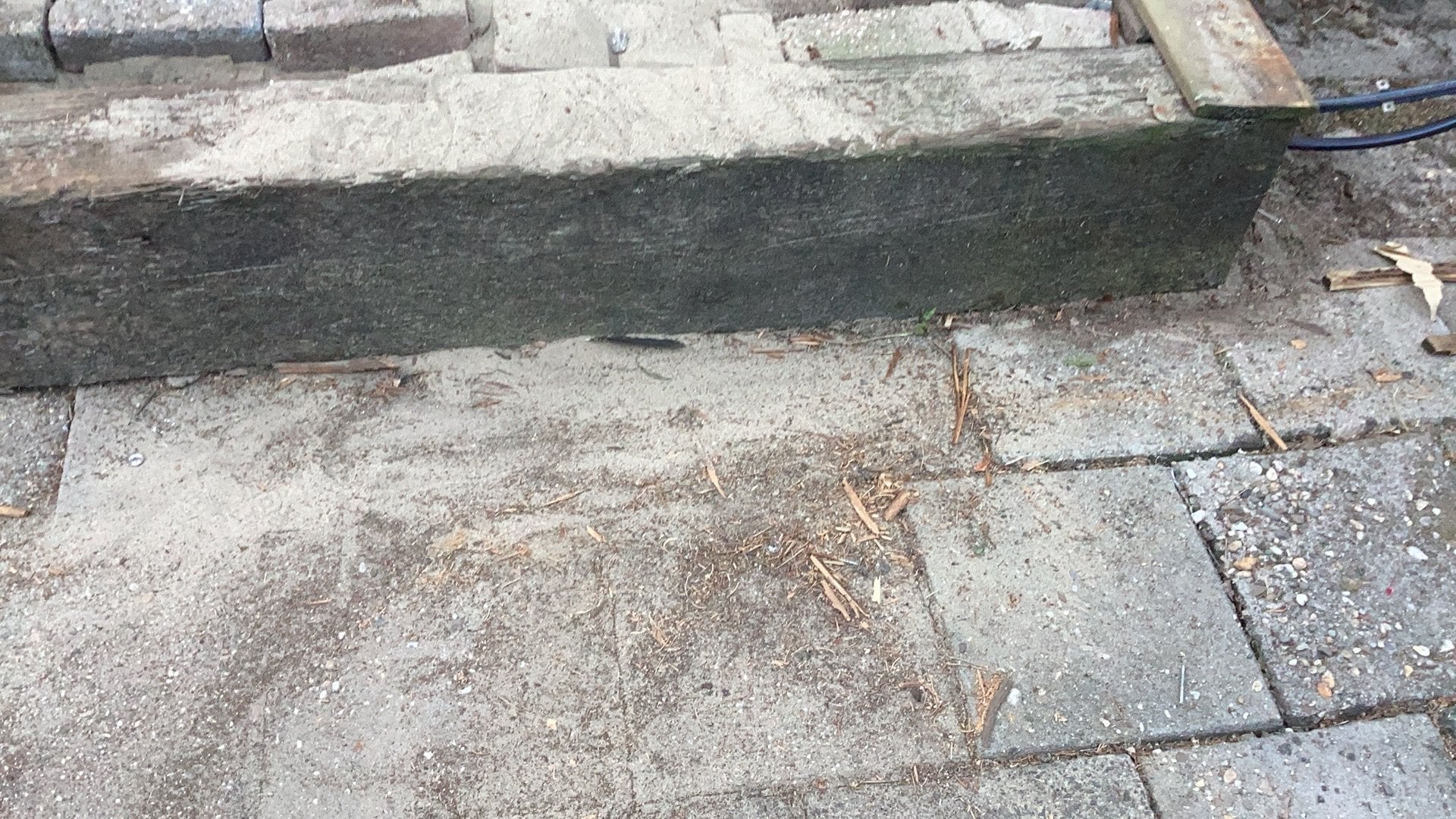Bielzen gratis in Dalfsen, Tuin en Terras, Ophalen, Gebruikt, Biels, Minder dan 25 cm