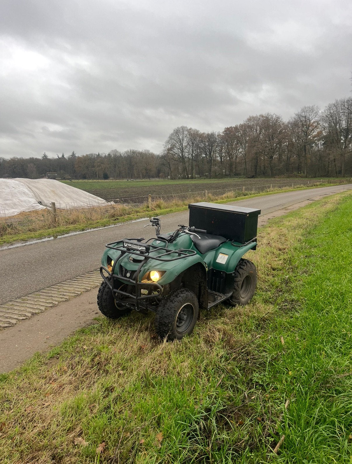 Yamaha big bear 250 landbouw kenteken, Motoren, Ophalen