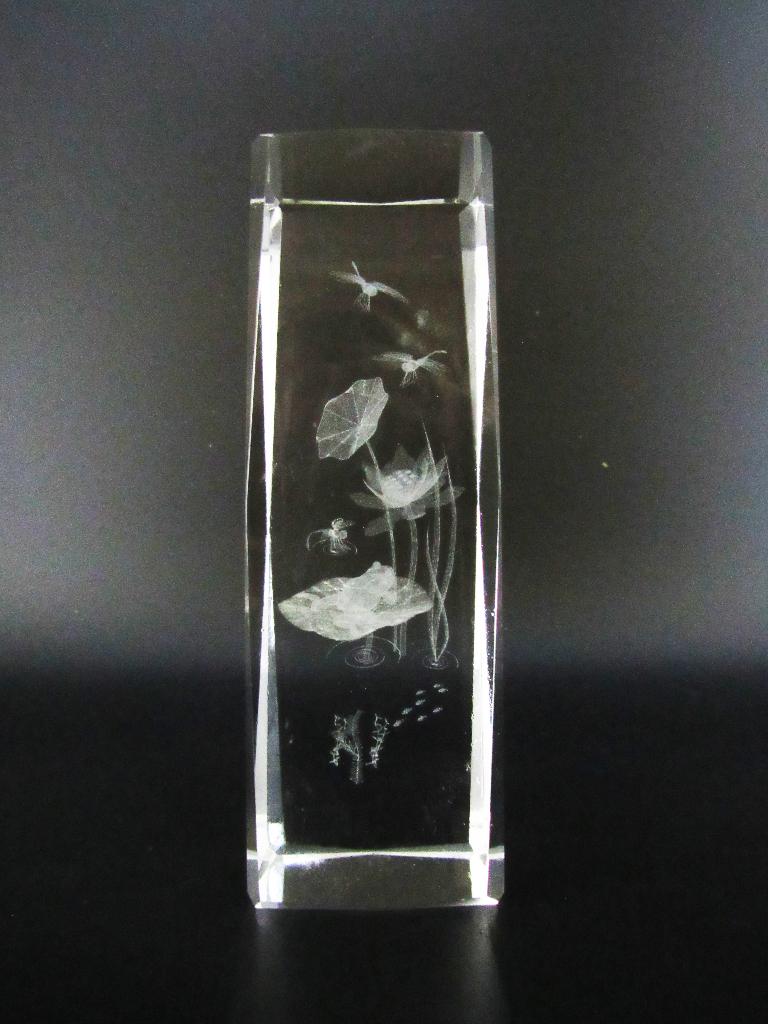 3D Kristal blokken - Dieren, Ophalen of Verzenden, Nieuw, Dier