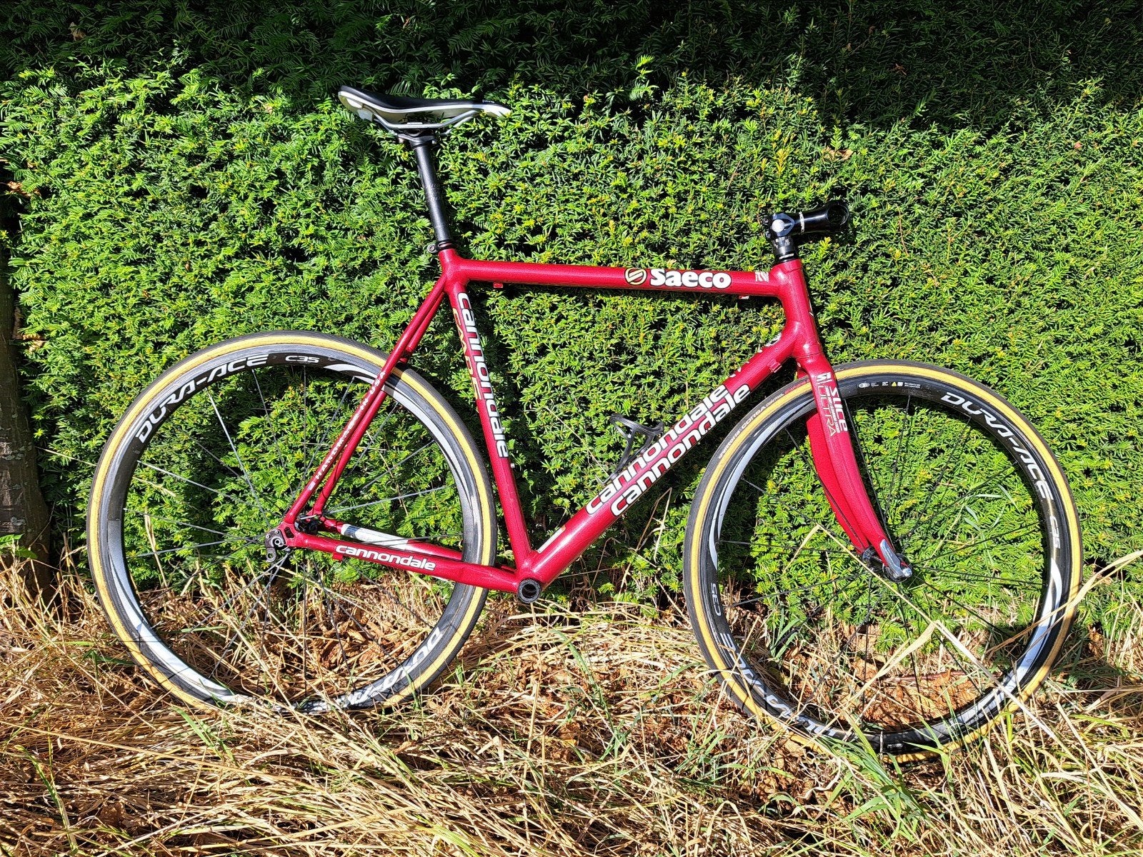 Cannondale CAAD5 Saeco Frameset – Maat 56 -rood, Gebruikt, Carbon, Meer dan 20 versnellingen, 53 tot 57 cm