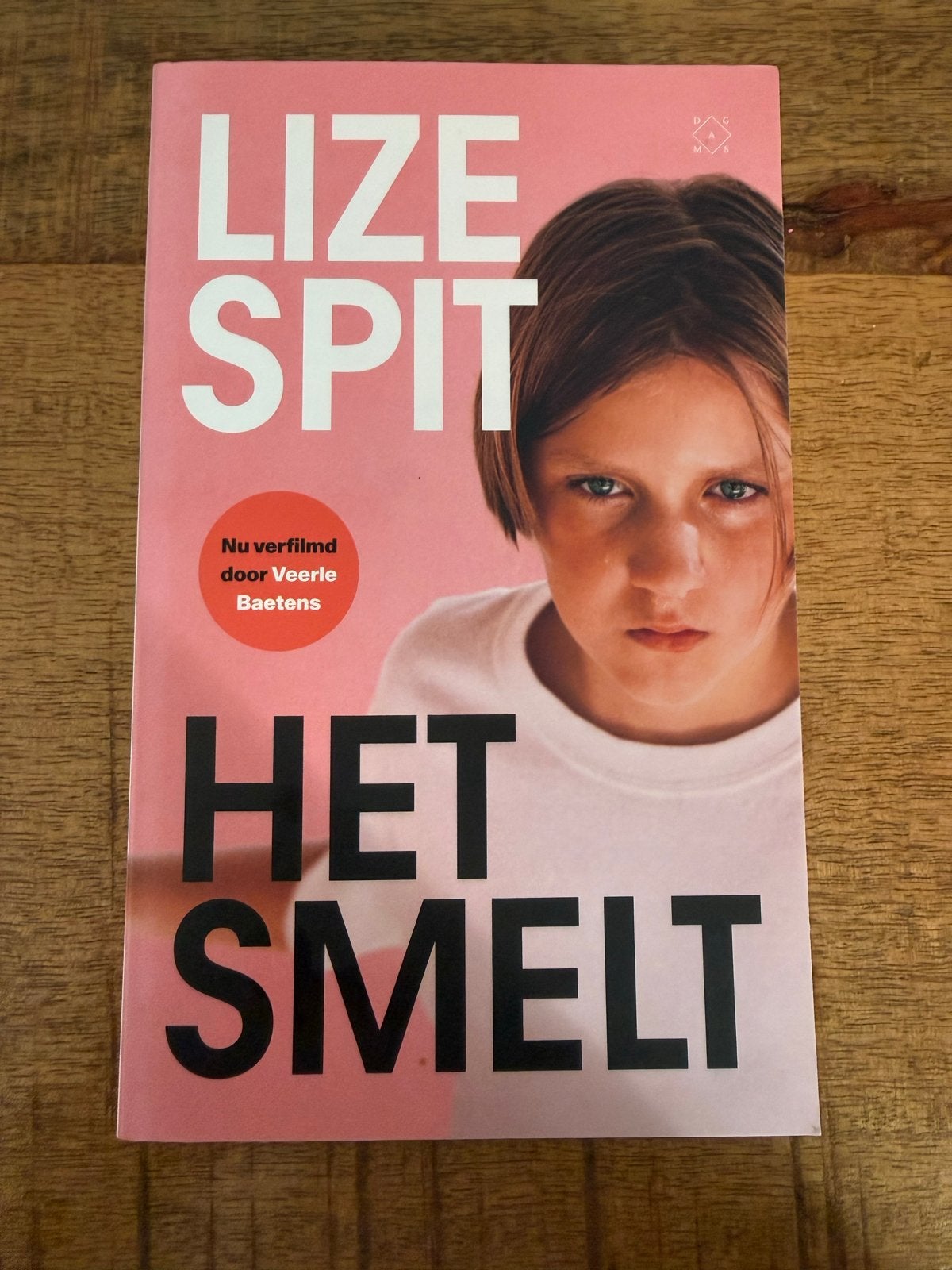 Het Smelt - Lize Spit (verfilmd door Veerle Baetens), Boeken, Ophalen of Verzenden, Zo goed als nieuw, België