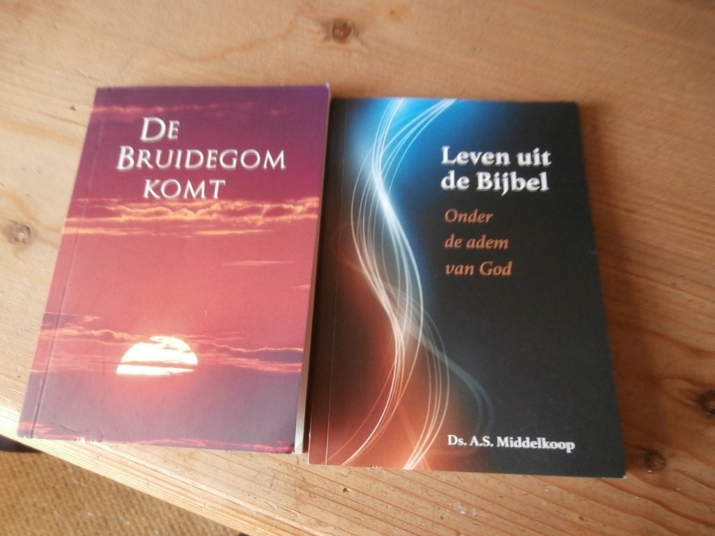 boek De bruidegom komt Leven uit de bijbel De Banier Ref Dag, Ophalen of Verzenden, Zo goed als nieuw, Ds. A.S. Middelkoop, Christendom | Protestants