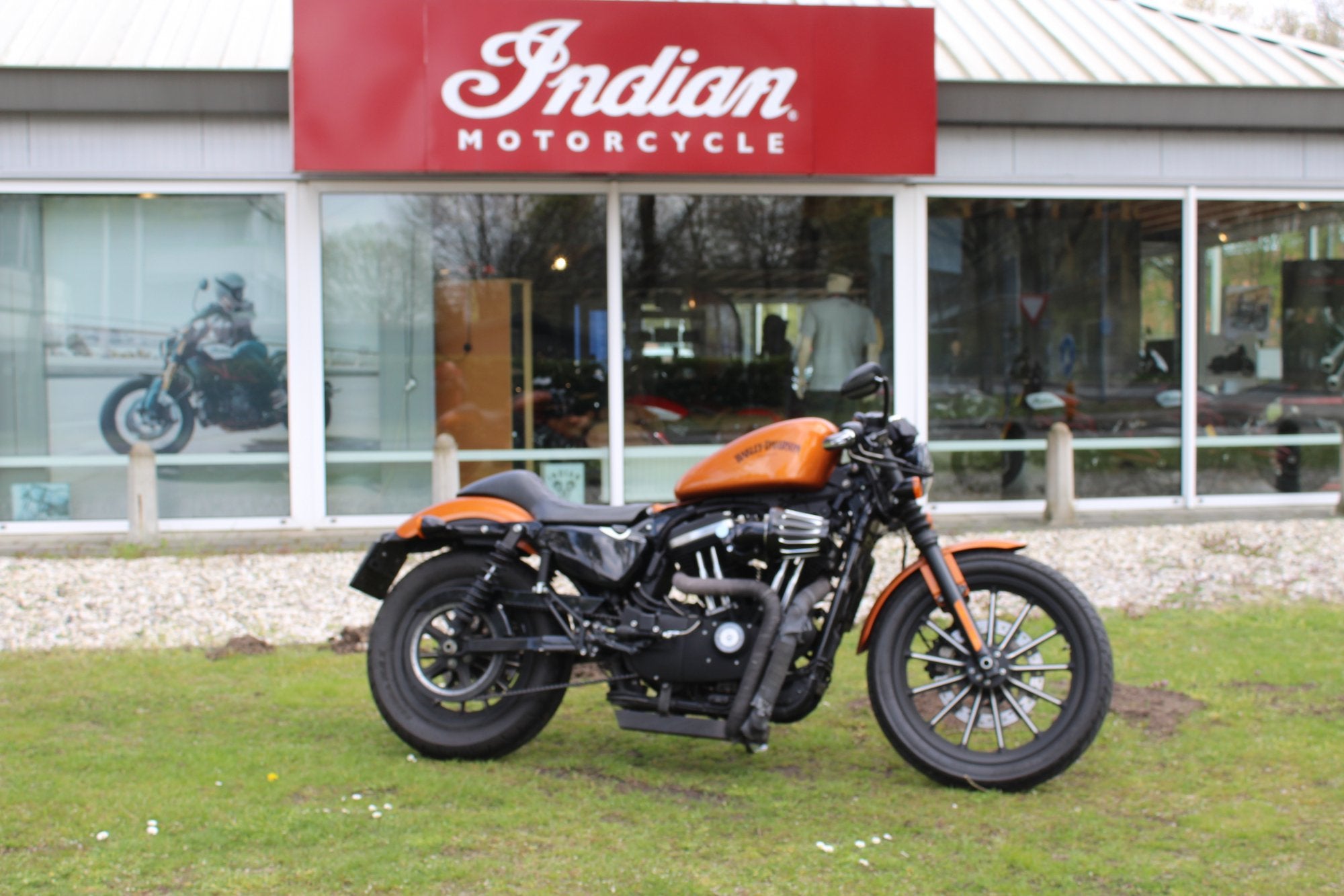 Harley-Davidson Sportster XL 883 xl883n sporster iron, Chopper, Bedrijf, 883 cc, Meer dan 35 kW