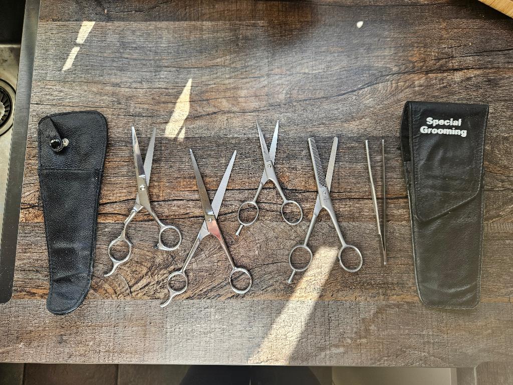 Te koop honden scharen, Ophalen of Verzenden, Gebruikt