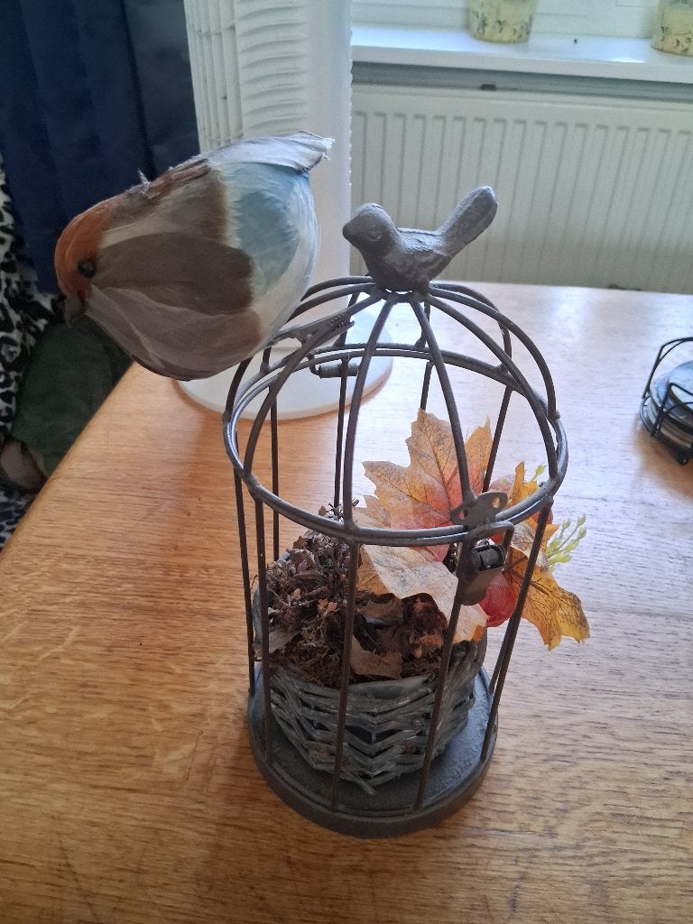herfst en vogel op kooi deco, Ophalen