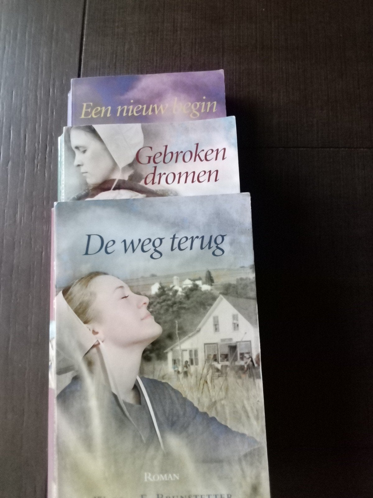 3 Amish romans: De weg terug, Gebroken dromen, Een nieuw beg, Ophalen, Gelezen, Wanda E Brunstetter, Nederland