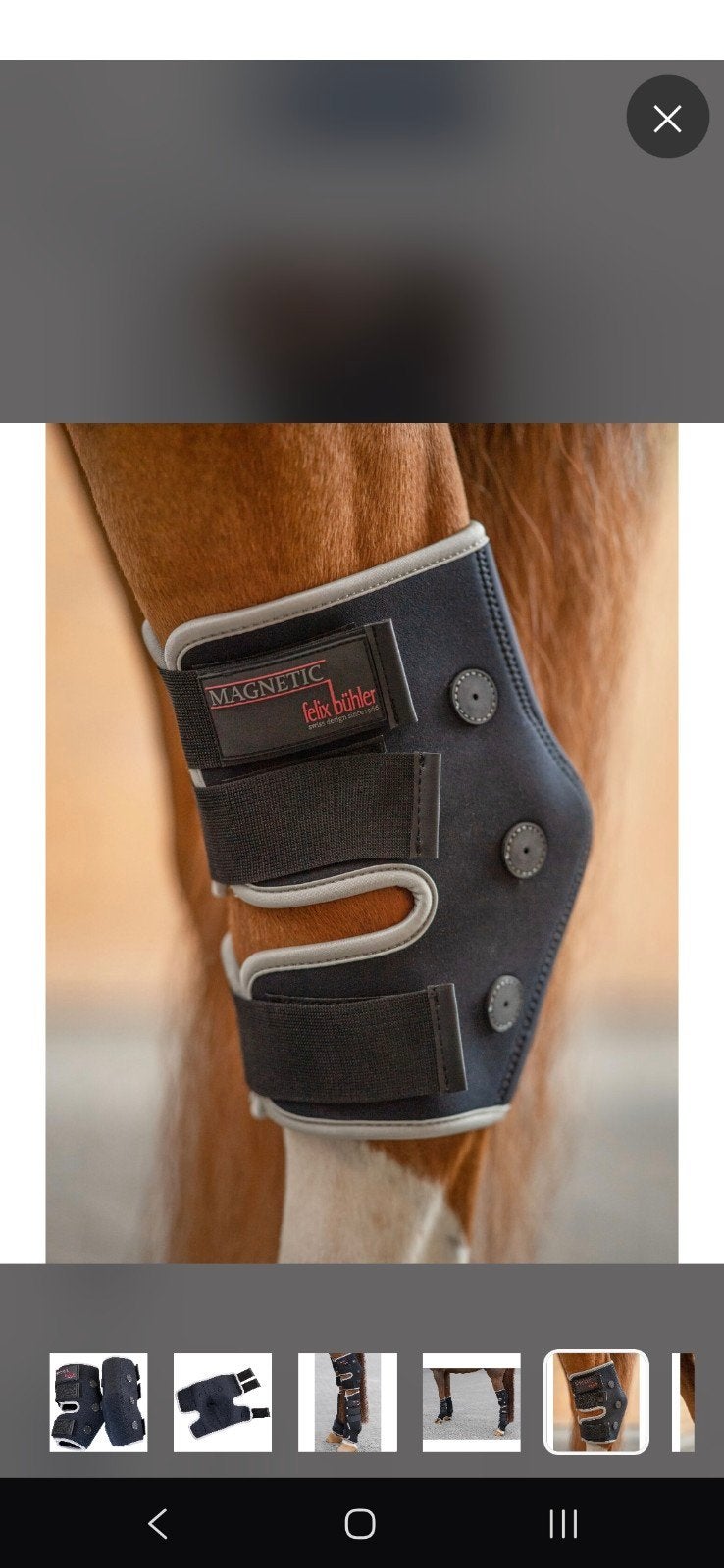 Magnetic bandages L, Dieren en Toebehoren, Ophalen of Verzenden, Nieuw