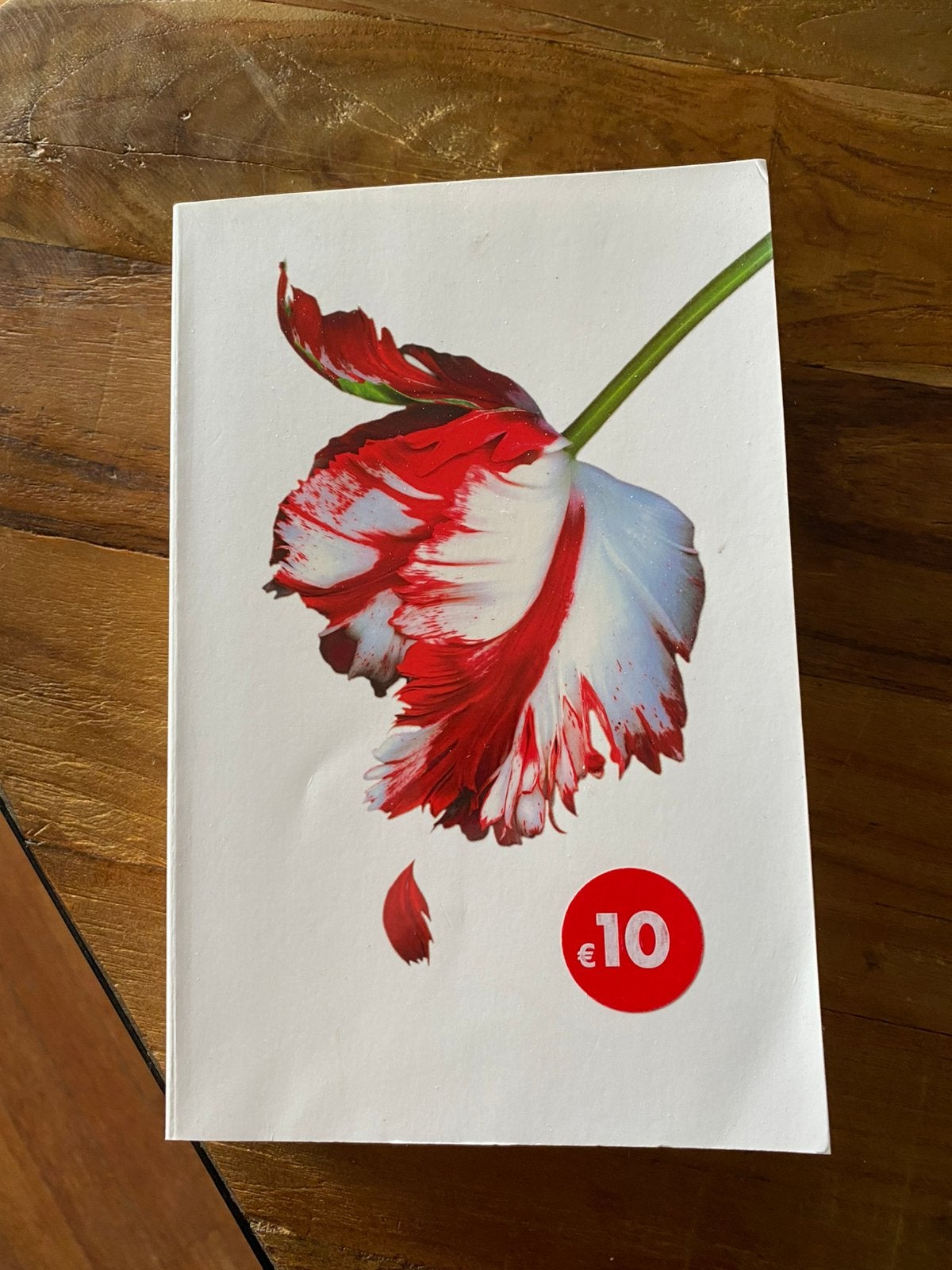 Nieuwe Maan - Stephenie Meyer, Boeken, Ophalen of Verzenden, Zo goed als nieuw, Stephenie Meyer