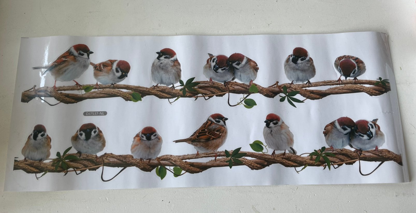 Muursticker 50 x 20, Ophalen, Nieuw, Dier en Natuur