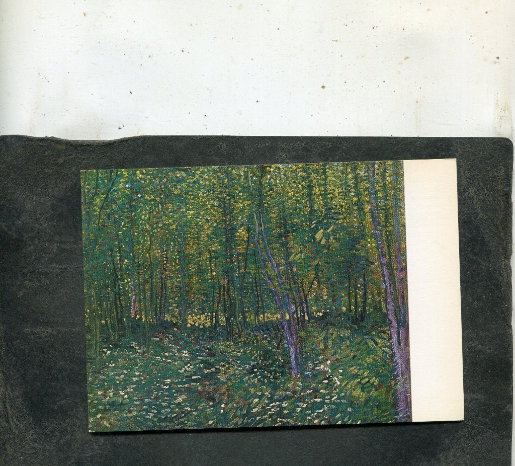 Ansicht Vincent van Gogh - Onderhout, Verzenden, 1980 tot heden, Ongelopen