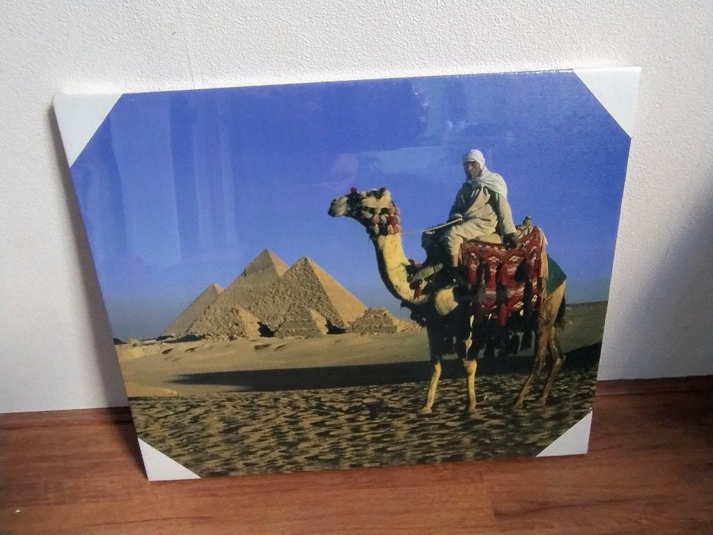 tuinposter pyramide kameel drommedaris arabier nieuw, Ophalen, Nieuw