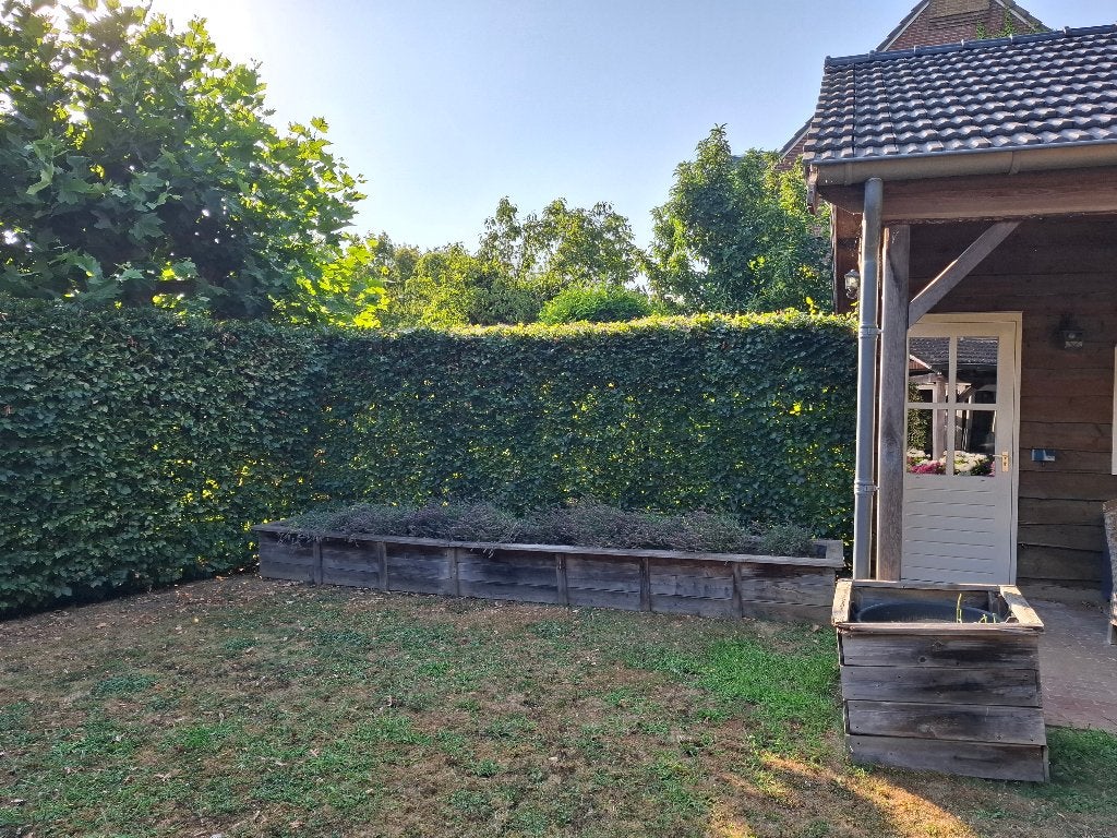 22 meter beukenhaag