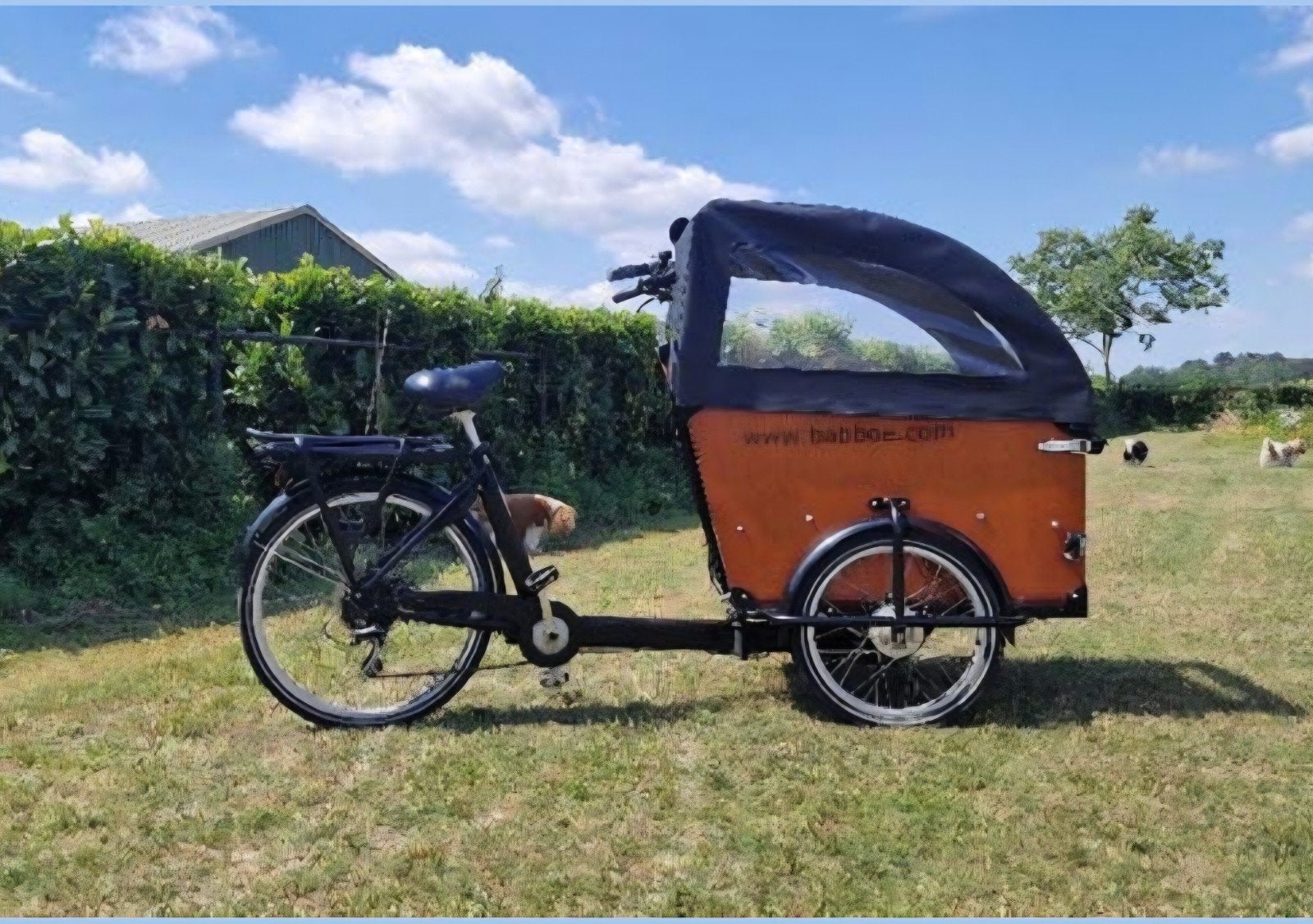 Babboe Dog-E bakfiets - Ideaal voor hondenliefhebbers!