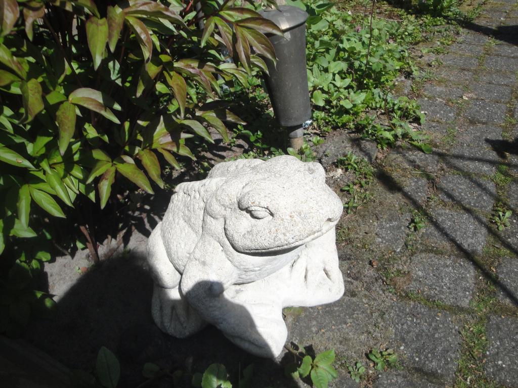 kikker van beton spuitfiguur, Tuin en Terras, Ophalen of Verzenden