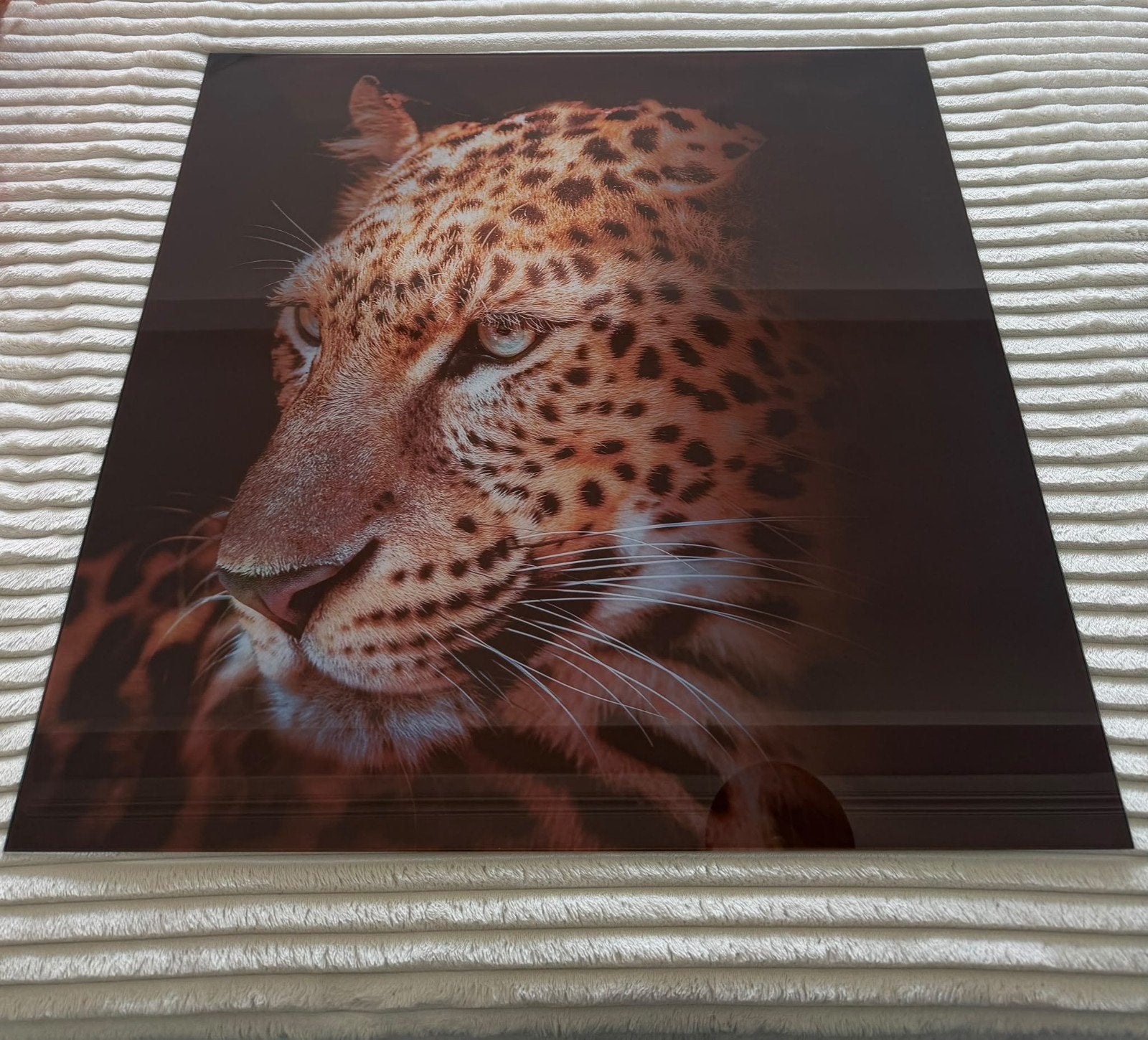 Prachtige luipaard glasschilderij, Ophalen, 50 – 75, Zo goed als nieuw, Schilderij