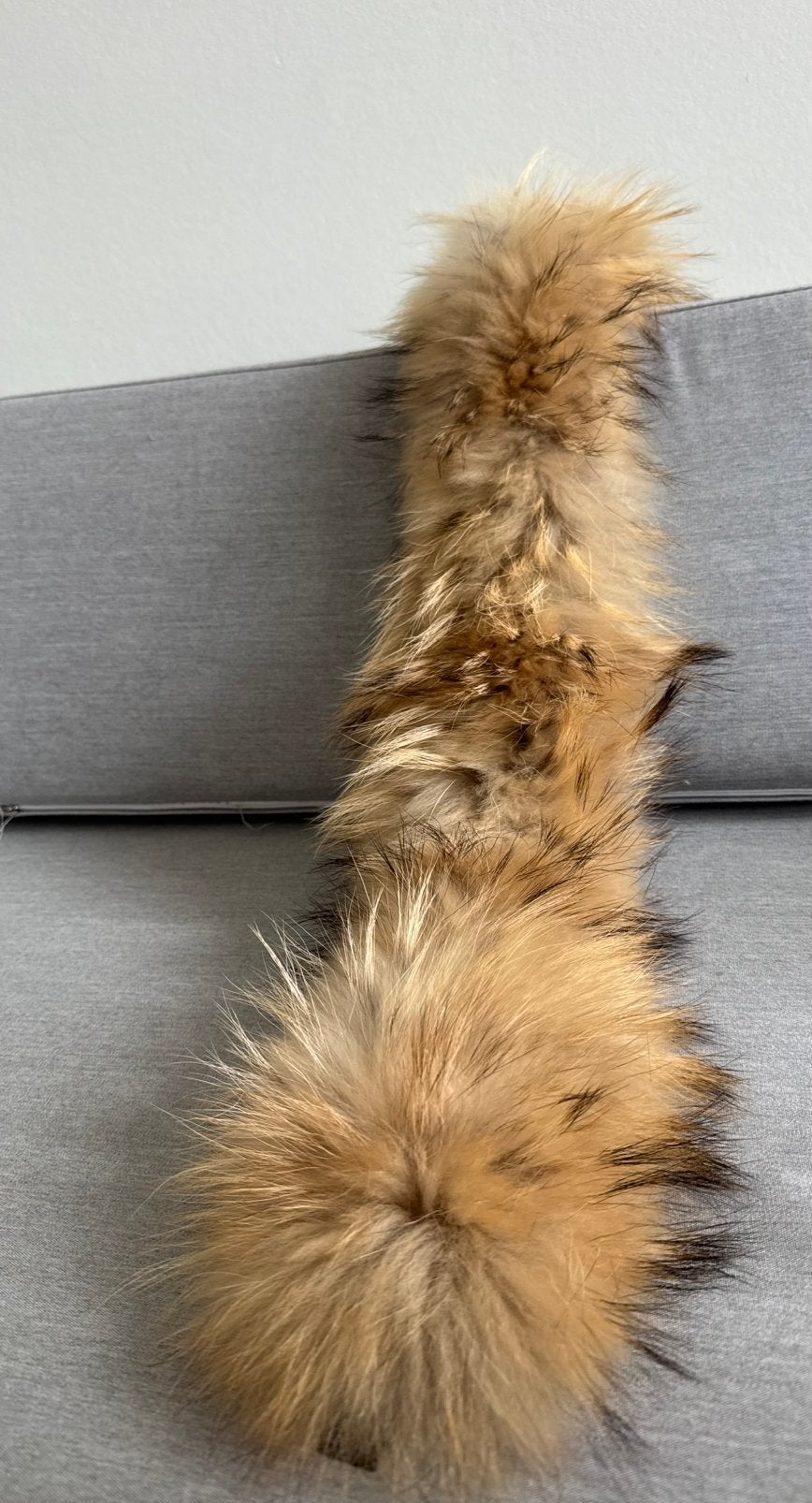 Luxe Losse Bontkraag van Froccella – Echt Bont – Lengte 75cm, Ophalen of Verzenden, Zo goed als nieuw, Sjaal