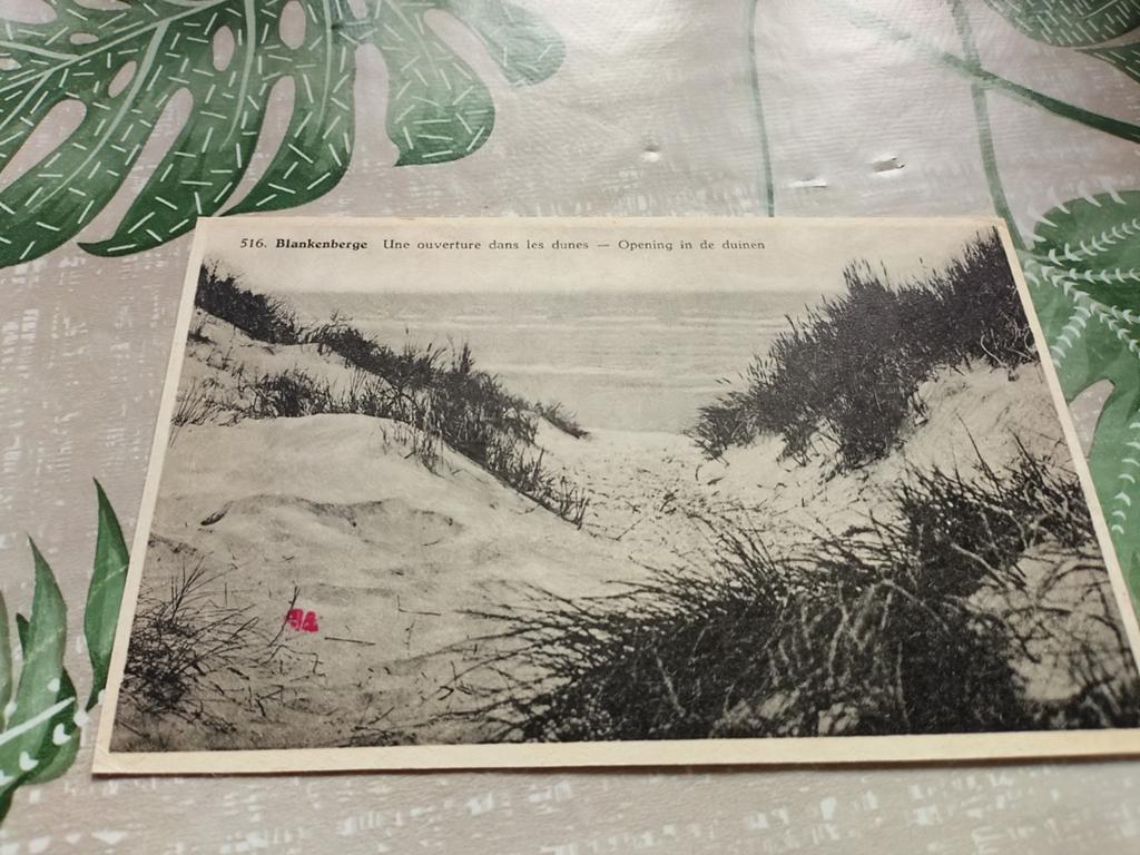 Oude Ansichtkaart Blankenberge Duinen (Gelopen), Ophalen, Voor 1920, Gelopen