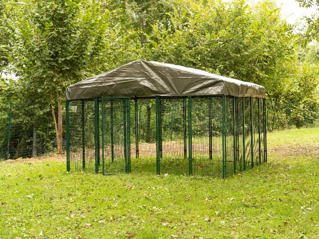 Kippenren | Staal | 3x3 meter | Cucciolotta, Ophalen of Verzenden, Nieuw, Kippenhok of Kippenren