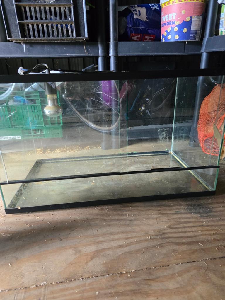 Terrarium 70x40x40, Dieren en Toebehoren, Reptielen en Amfibieën | Toebehoren, Ophalen