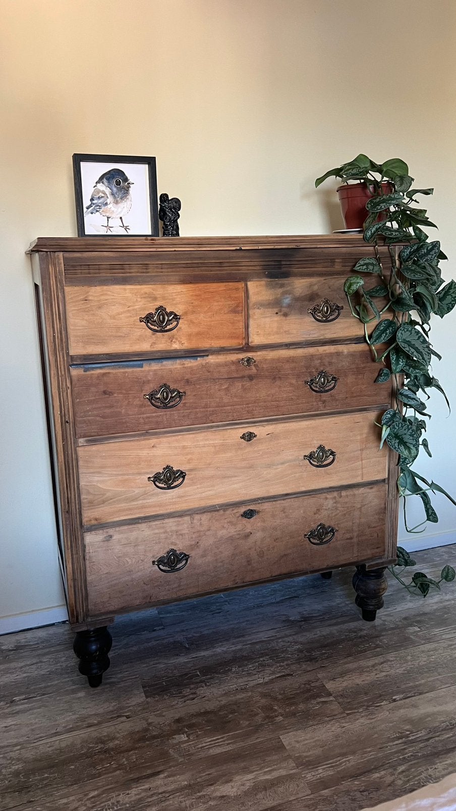 Antieke commode kast, Gebruikt, 100 tot 150 cm, 5 laden of meer, 100 tot 150 cm