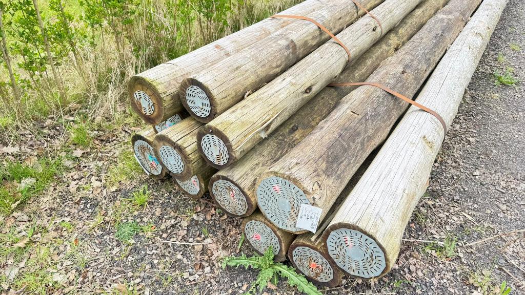 Compleet Hopveld materiaal incl. echte Cloeziana 600cm palen, Zakelijke goederen, Agrarisch | Aardappelen, Groenten, Fruit en Vlees