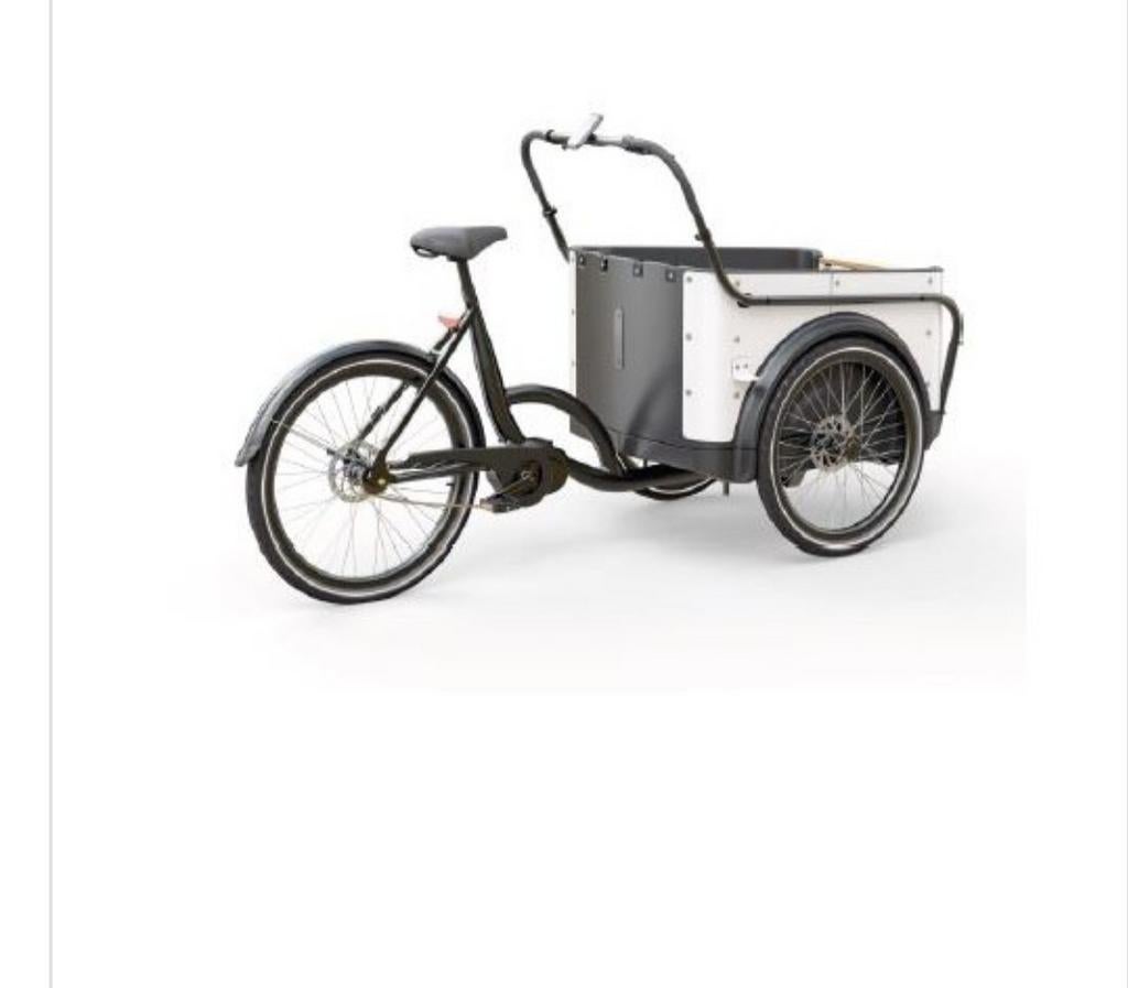 Royal de luxe bakfiets, Fietsen en Brommers, Ophalen of Verzenden, Nieuw