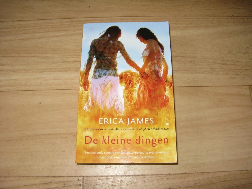Erica James - De kleine dingen, Boeken, Romans, Gelezen, Ophalen of Verzenden