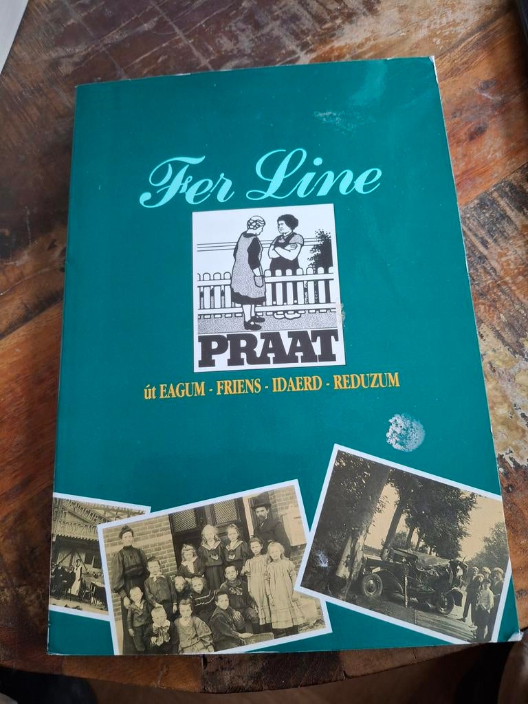 Fer Line - Út Eagum, Friens, Idaerd, Reduzum - Boek, Boeken, Streekboeken en Streekromans, Zo goed als nieuw, Friesland, Ophalen of Verzenden