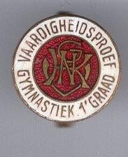 Vaardigheidsproef Gymnastiek 1e Graad email speldje( Z_171 ), Ophalen of Verzenden, Zo goed als nieuw, Sport, Speldje of Pin